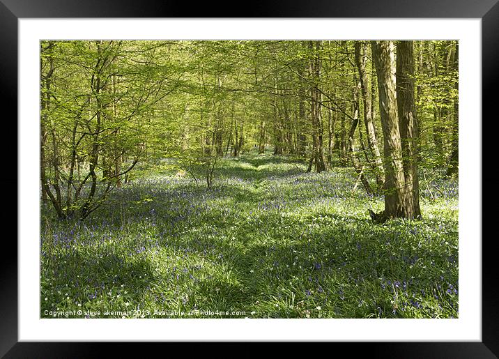 Path among the bluebells Framed Mounted Print by steve akerman