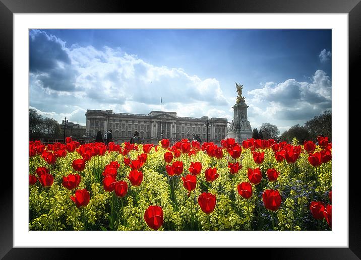 Tulips at Buckingham Palace Framed Mounted Print by Dean Messenger
