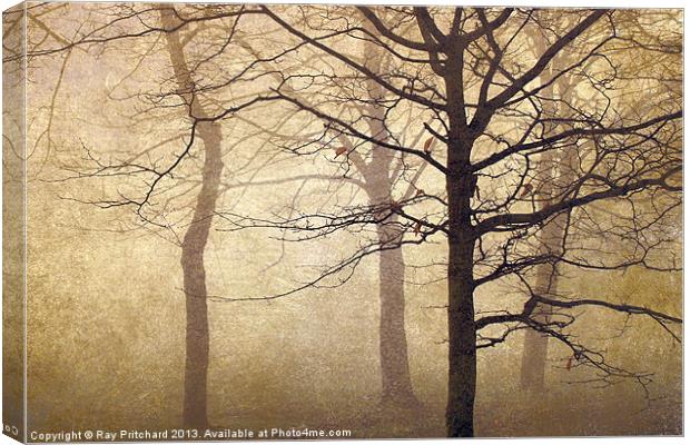 Trees in the Mist Canvas Print by Ray Pritchard