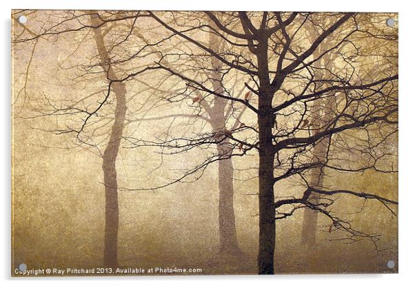Trees in the Mist Acrylic by Ray Pritchard