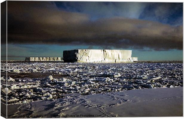 Icebergs Ross Sea Antarctica Canvas Print by Carole-Anne Fooks