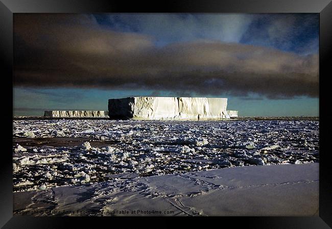 Icebergs Ross Sea Antarctica Framed Print by Carole-Anne Fooks