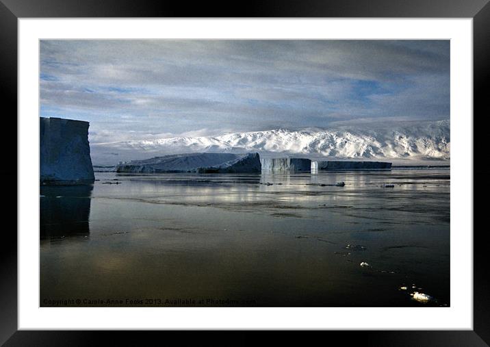 Icebergs & The Transantarctic Range Framed Mounted Print by Carole-Anne Fooks