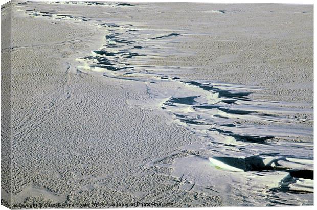 Pressure Ridges Antarctica Canvas Print by Carole-Anne Fooks