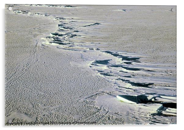 Pressure Ridges Antarctica Acrylic by Carole-Anne Fooks