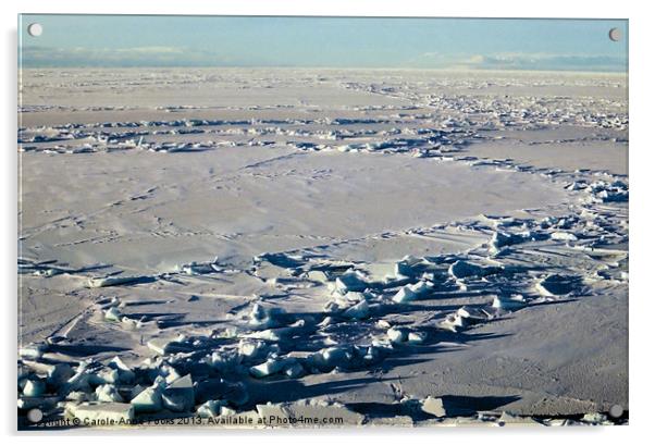 Pressure Ridges Antarctica Acrylic by Carole-Anne Fooks
