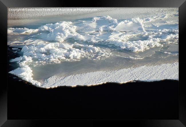 Sea Ice Antarctica Framed Print by Carole-Anne Fooks