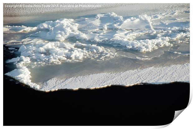 Sea Ice Antarctica Print by Carole-Anne Fooks