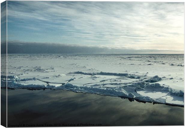 Sea Ice Antarctica Canvas Print by Carole-Anne Fooks