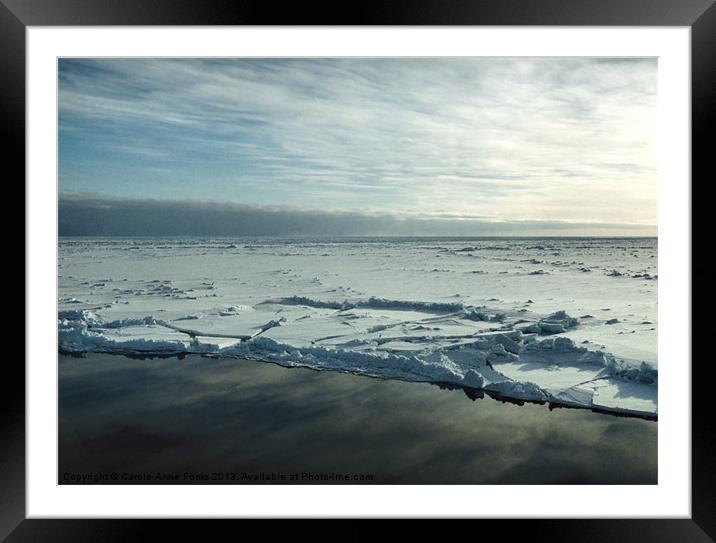 Sea Ice Antarctica Framed Mounted Print by Carole-Anne Fooks