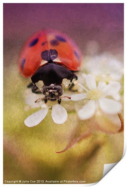 Ladybird Print by Julie Coe