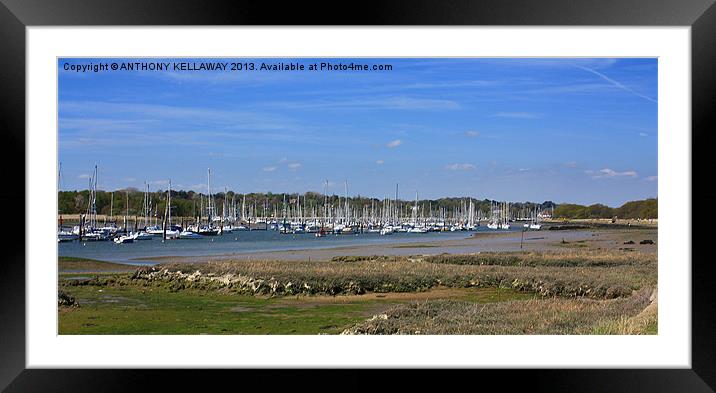 RIVER HAMBLE YACHTS Framed Mounted Print by Anthony Kellaway