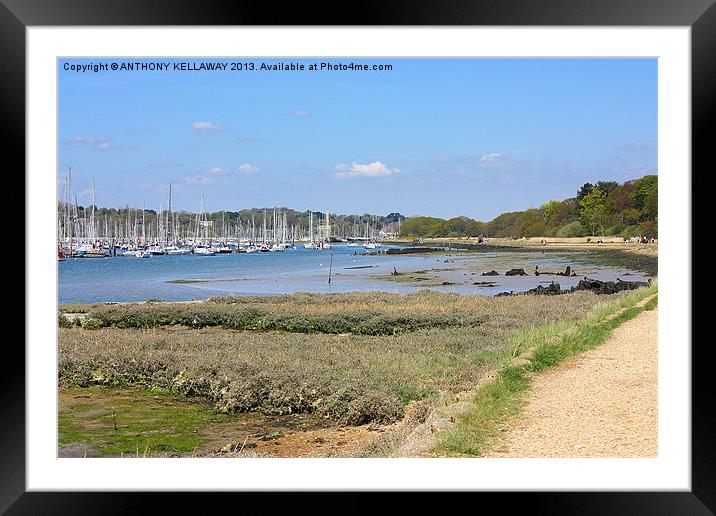 River Hamble Framed Mounted Print by Anthony Kellaway