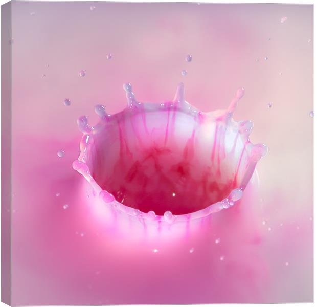 Pink milkshake drop Canvas Print by Elizma Fourie