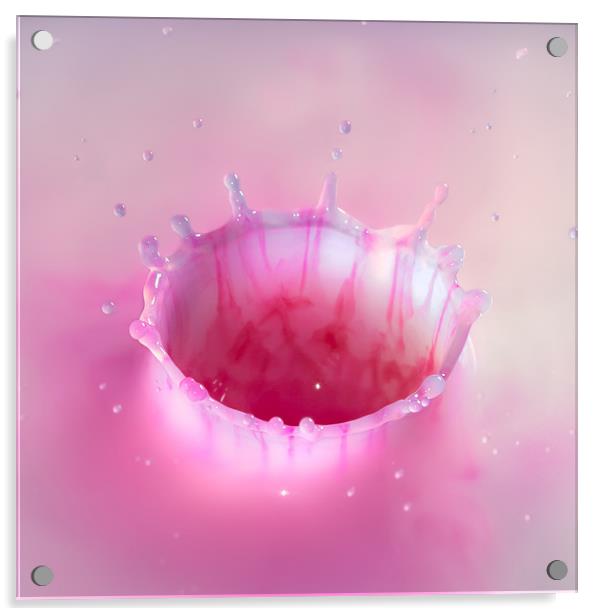 Pink milkshake drop Acrylic by Elizma Fourie
