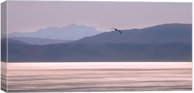 Coastline with seagull Canvas Print by Elizma Fourie