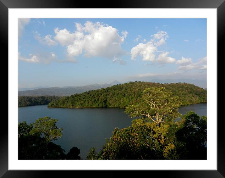 The Picturesque Neyyar River Framed Mounted Print by Sajitha Nair
