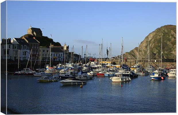Ilfracombe Harbour, Devon Canvas Print by vicky Lewis