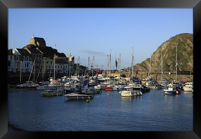 Ilfracombe Harbour, Devon Framed Print by vicky Lewis