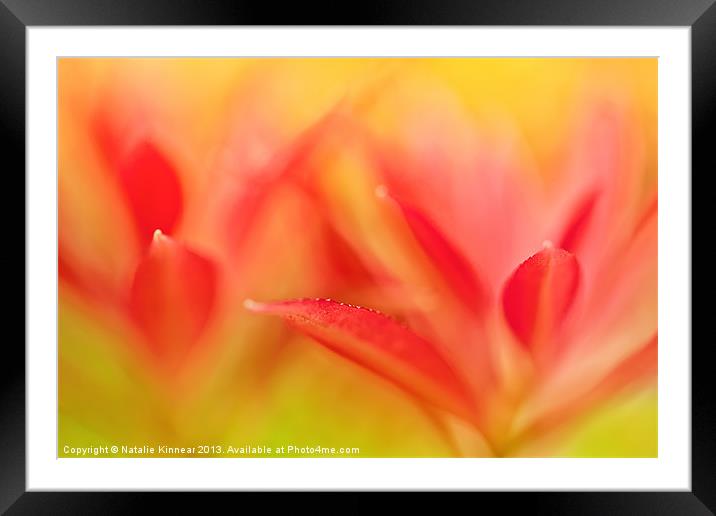 Red Plant Leaves - Abstract Framed Mounted Print by Natalie Kinnear