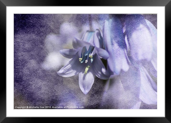 Bluebell with Texture Framed Mounted Print by Michelle Orai