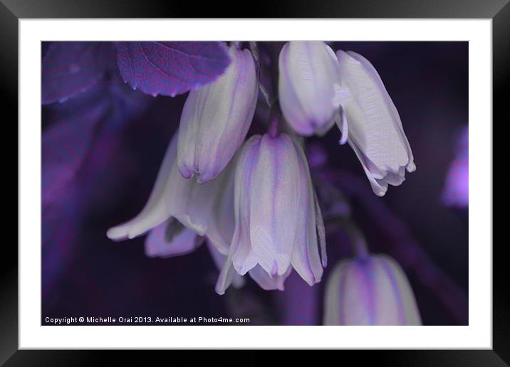 Purple Bluebells Framed Mounted Print by Michelle Orai