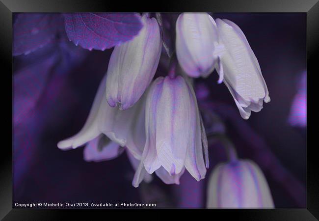 Purple Bluebells Framed Print by Michelle Orai