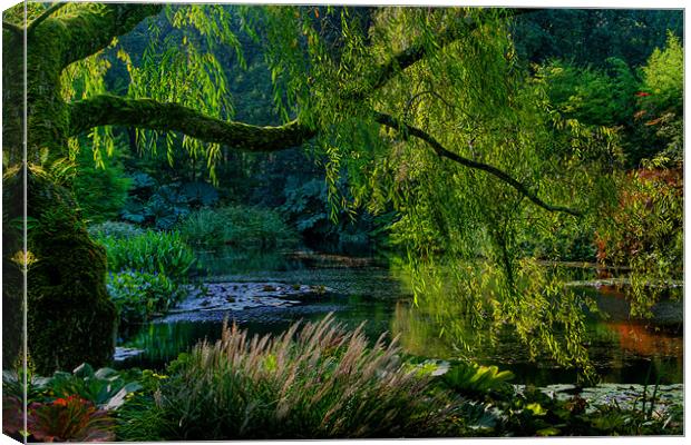 Enchanted Garden Canvas Print by vicky Lewis