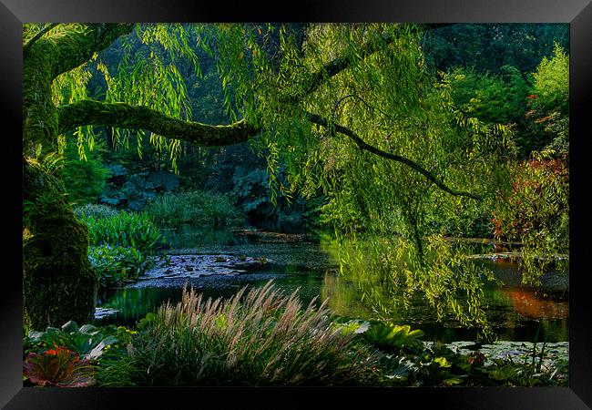 Enchanted Garden Framed Print by vicky Lewis