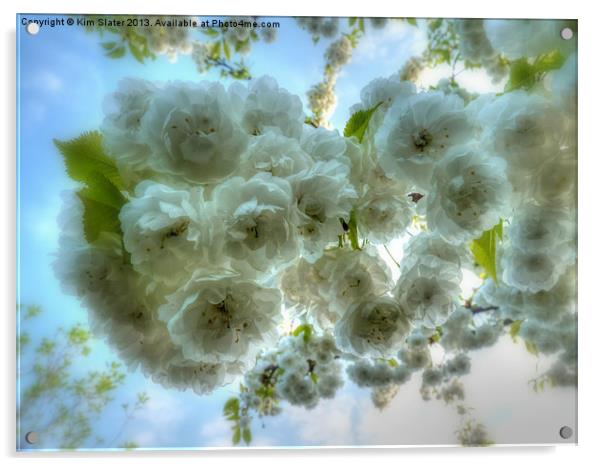 Blossom Acrylic by Kim Slater