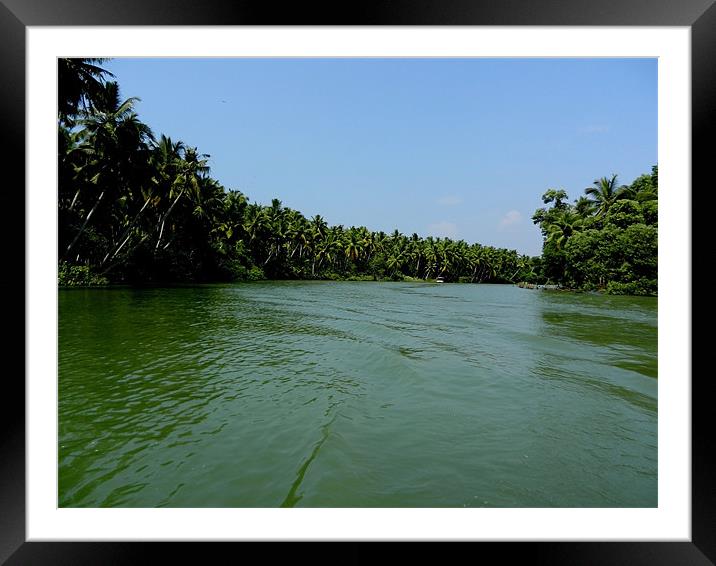Backwaters and Coconut Trees Framed Mounted Print by Sajitha Nair