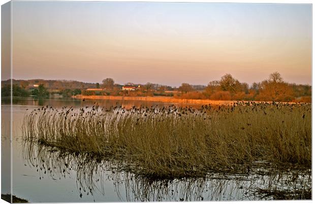 Marsworth Reservoir Canvas Print by graham young