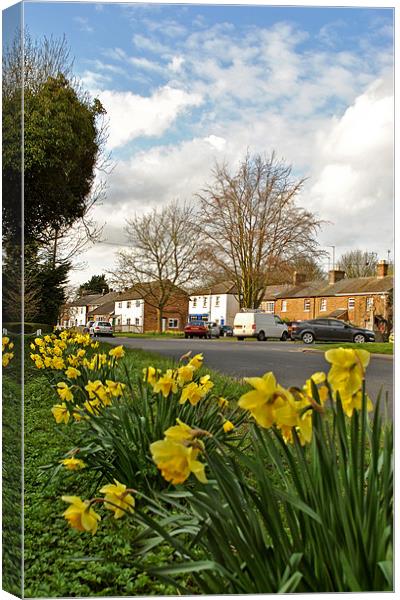 Spring Time in Wilstone Canvas Print by graham young