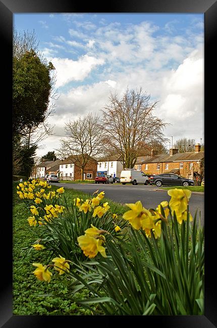 Spring Time in Wilstone Framed Print by graham young