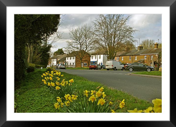 Wilstone in the Spring Framed Mounted Print by graham young