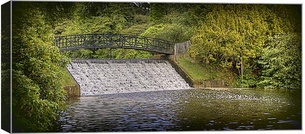 Sheffield Park waterfall Canvas Print by Tracy Hughes