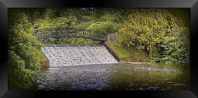 Sheffield Park waterfall Framed Print by Tracy Hughes