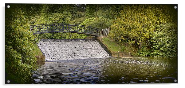 Sheffield Park waterfall Acrylic by Tracy Hughes