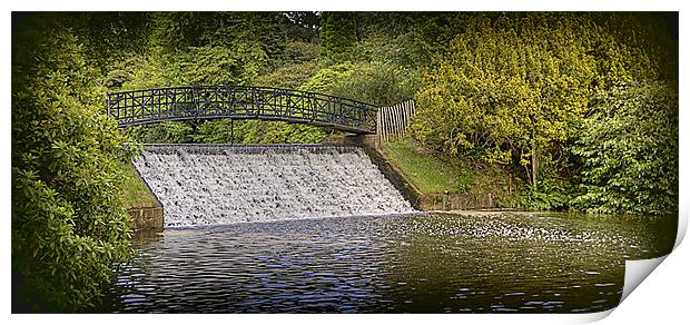 Sheffield Park waterfall Print by Tracy Hughes
