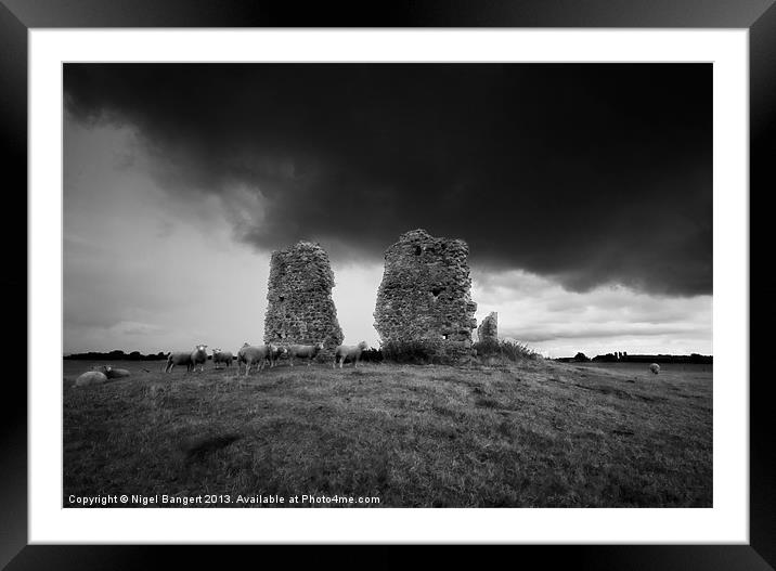 A New Flock Framed Mounted Print by Nigel Bangert