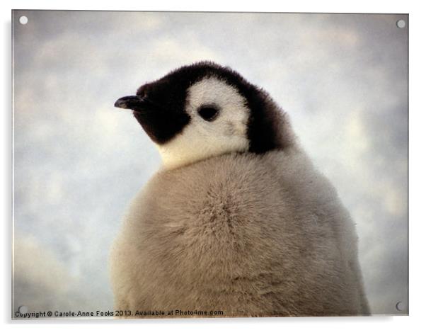 Emperor Penguin Chick Portrait Antarctica Acrylic by Carole-Anne Fooks