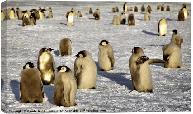 Emperor Penguin Chicks Antarctica Canvas Print by Carole-Anne Fooks