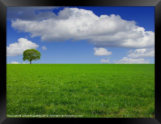 English Summer Meadow Framed Print by J Biggadike