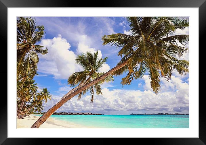Whispering Palms. Maldives Framed Mounted Print by Jenny Rainbow