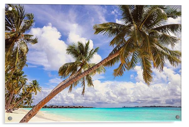Whispering Palms. Maldives Acrylic by Jenny Rainbow