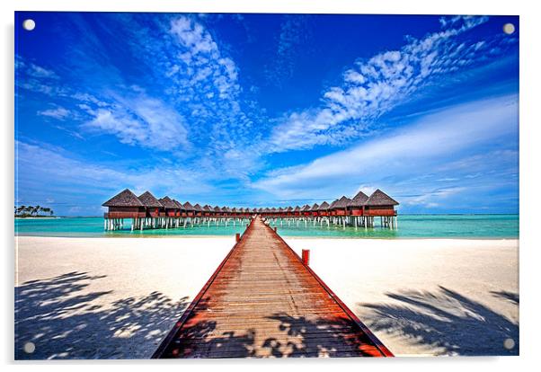 Water Villas at Resort Olhuveli. Maldives Acrylic by Jenny Rainbow