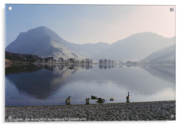 Geese on Buttermere. Lake District, Cumbria, UK. Acrylic by Liam Grant