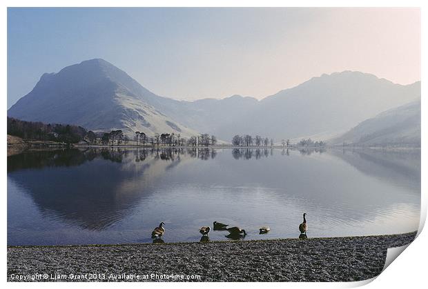 Geese on Buttermere. Lake District, Cumbria, UK. Print by Liam Grant