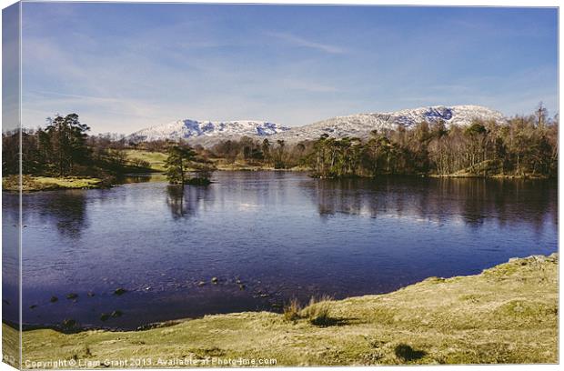Frozen surface. Tarn Hows, Lake District, Cumbria, Canvas Print by Liam Grant