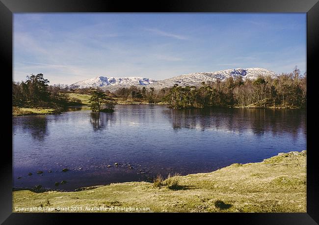 Frozen surface. Tarn Hows, Lake District, Cumbria, Framed Print by Liam Grant